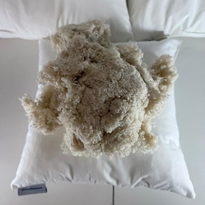 Silk filled inner cushion